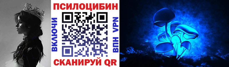 Псилоцибиновые грибы Cubensis Плёс